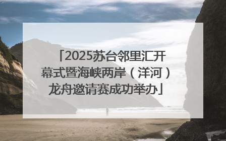 2025苏台邻里汇开幕式暨海峡两岸（洋河）龙舟邀请赛成功举办