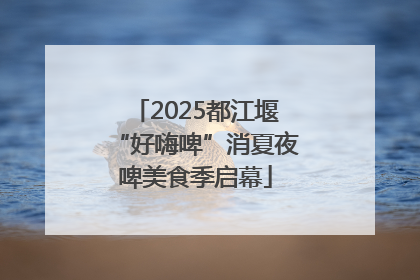 2025都江堰“好嗨啤”消夏夜啤美食季启幕