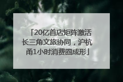 20亿首店矩阵激活长三角文旅协同，沪杭甬1小时消费圈成形