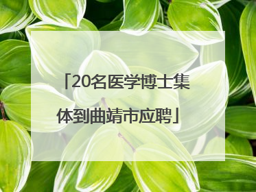 20名医学博士集体到曲靖市应聘