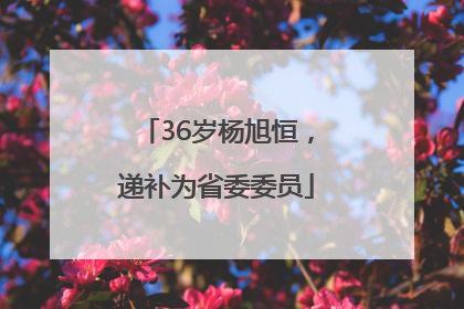 36岁杨旭恒，递补为省委委员