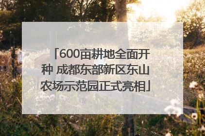 600亩耕地全面开种 成都东部新区东山农场示范园正式亮相