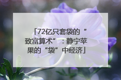 72亿只套袋的“致富算术”：静宁苹果的“袋”中经济
