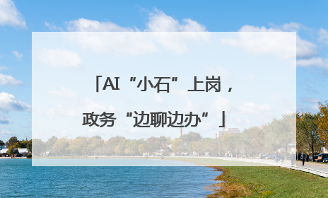 AI“小石”上岗，政务“边聊边办”