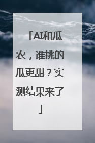 AI和瓜农，谁挑的瓜更甜？实测结果来了