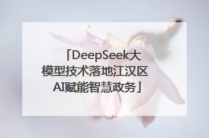 DeepSeek大模型技术落地江汉区 AI赋能智慧政务