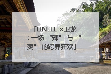 LINLEE ×卫龙：一场 “辣” 与 “爽” 的跨界狂欢