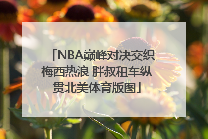 NBA巅峰对决交织梅西热浪 胖叔租车纵贯北美体育版图